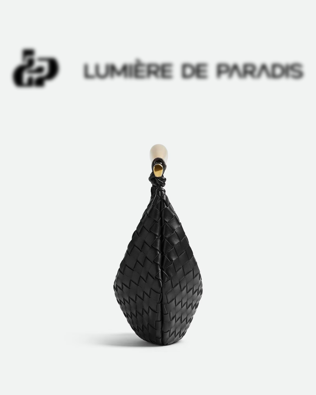 Poisson d’Or Bag Classique Noir