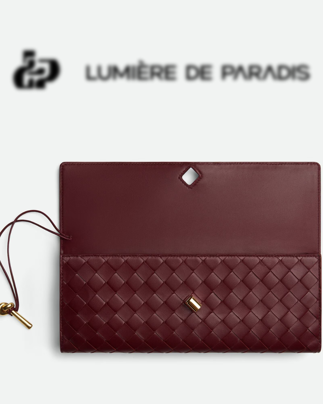 Attache Noble Bag Pochette Bordeaux