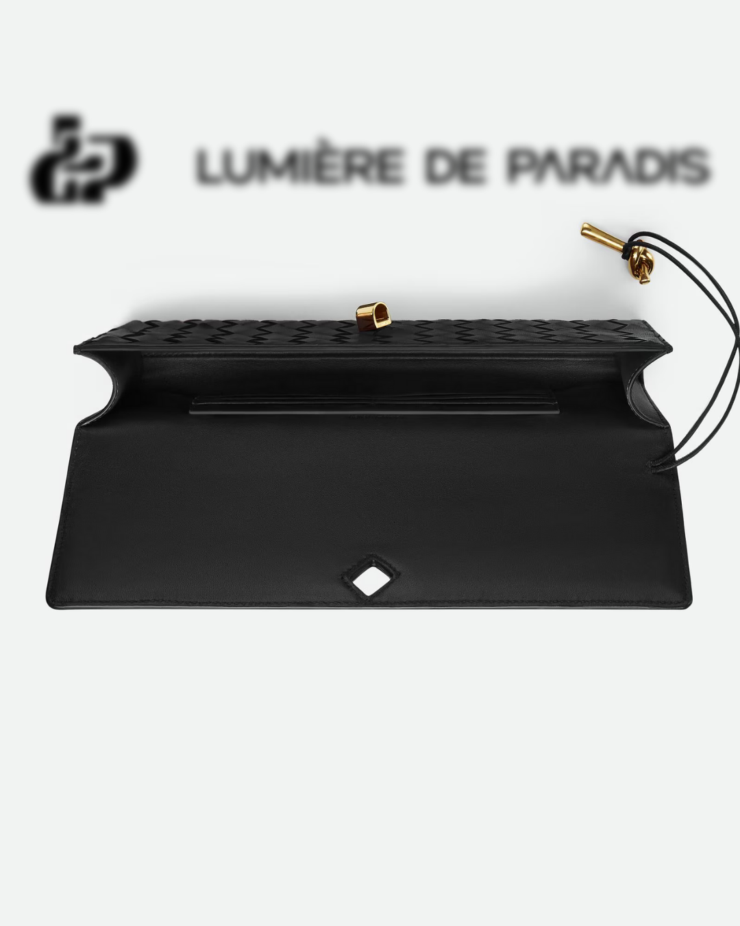 Attache Noble Bag Pochette Noir